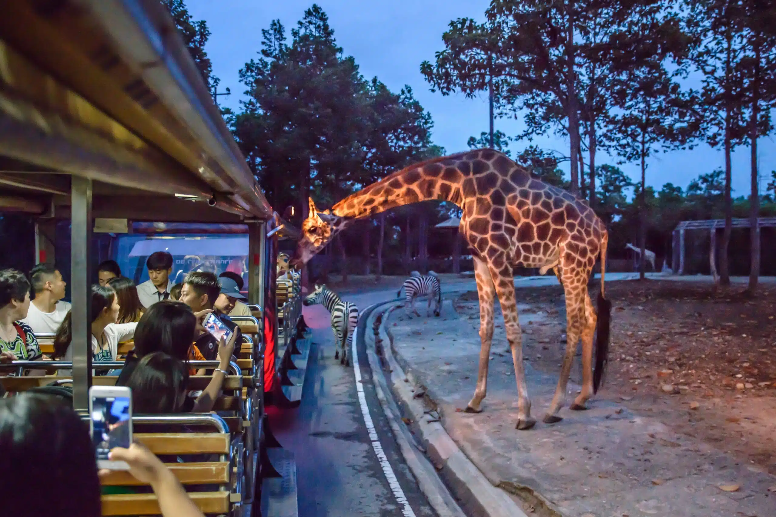 9. ספארי הלילה של צ'אנג מאי (Chiang Mai Night Safari)