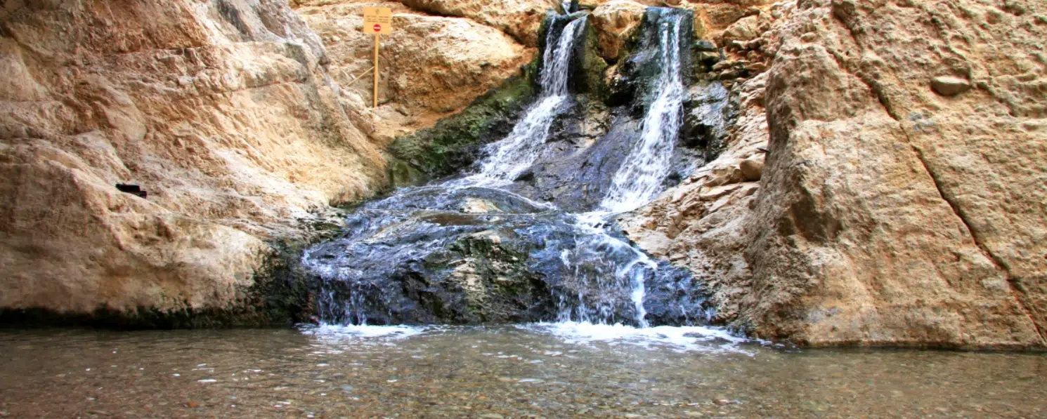 עין בוקק