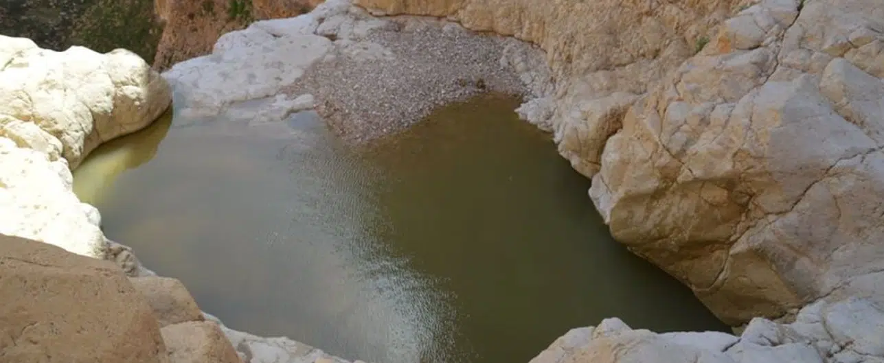 נחל צאלים – בריכות תרמיות